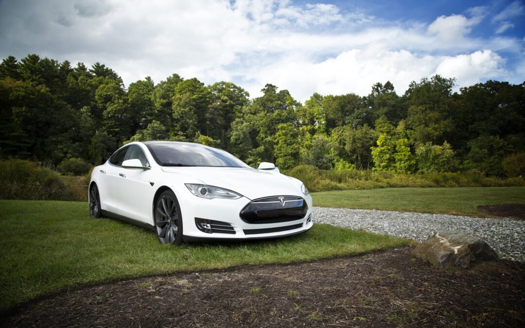 Auto Tesla im Grünen