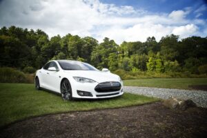 Auto Tesla im Grünen
